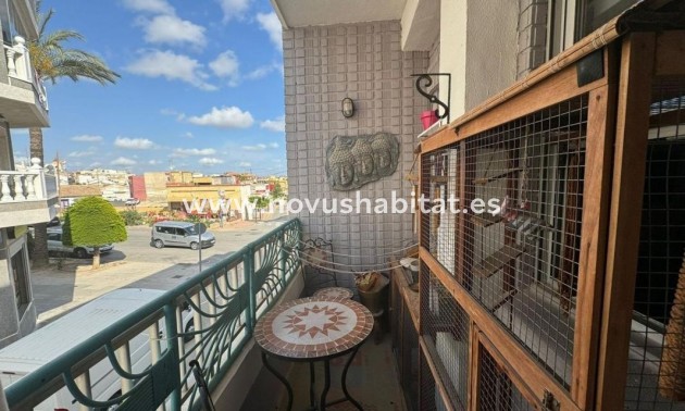 Apartament - Neue Gebäude - San Miguel de Salinas - San Miguel de Salinas