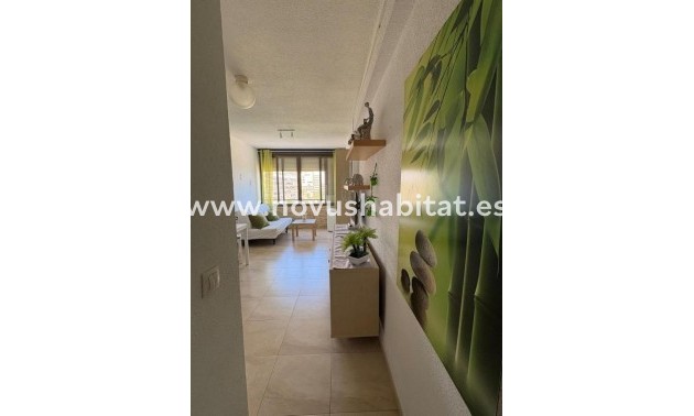 Apartament - Neue Gebäude - Torrevieja - Torrevieja