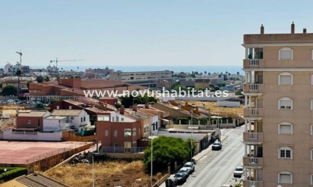 Apartament - Neue Gebäude - Torrevieja - Torrevieja