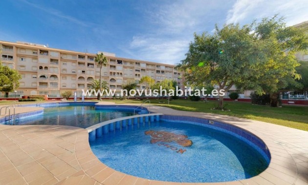 Apartament - Neue Gebäude - Torrevieja - Torrevieja