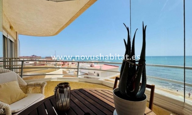 Apartament - Neue Gebäude - Torrevieja - Torrevieja
