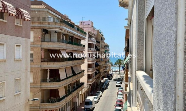 Apartament - Neue Gebäude - Torrevieja - Torrevieja