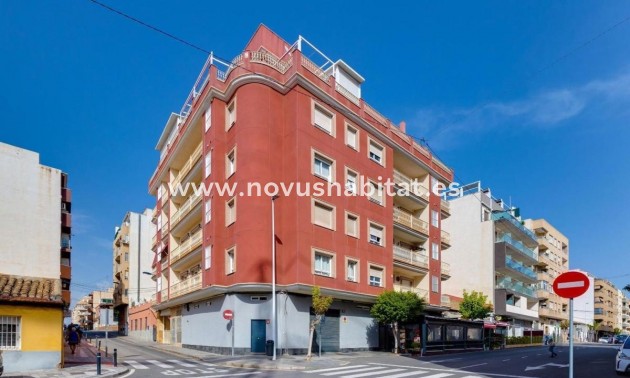 Apartament - Neue Gebäude - Torrevieja - Torrevieja