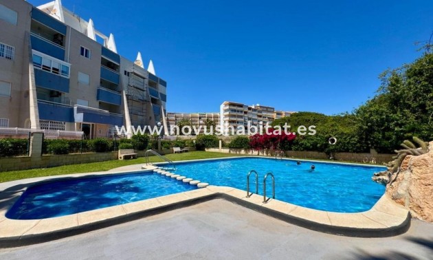 Apartament - Neue Gebäude - Torrevieja - Torrevieja