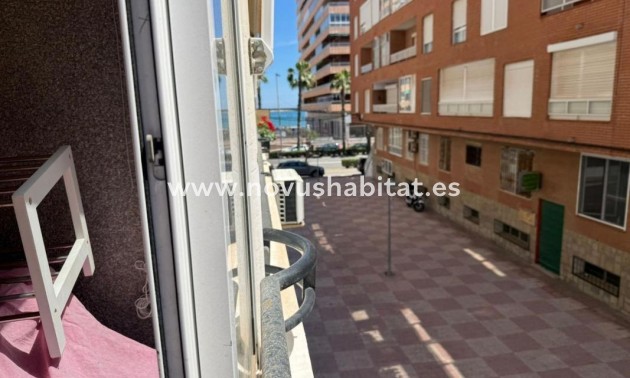 Apartament - Neue Gebäude - Torrevieja - Torrevieja