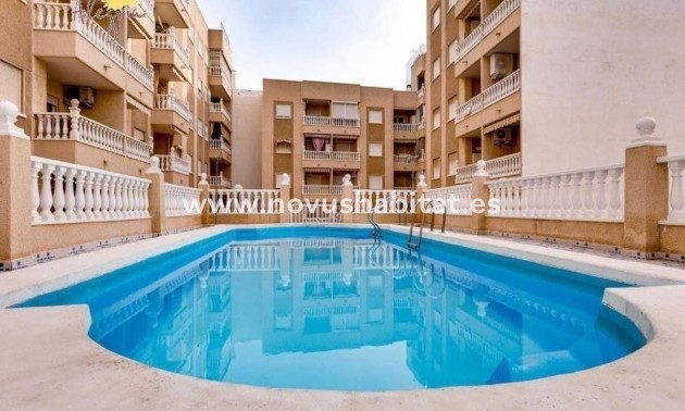 Apartament - Neue Gebäude - Torrevieja - Torrevieja