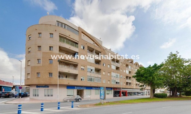 Apartament - Neue Gebäude - Torrevieja - Torrevieja