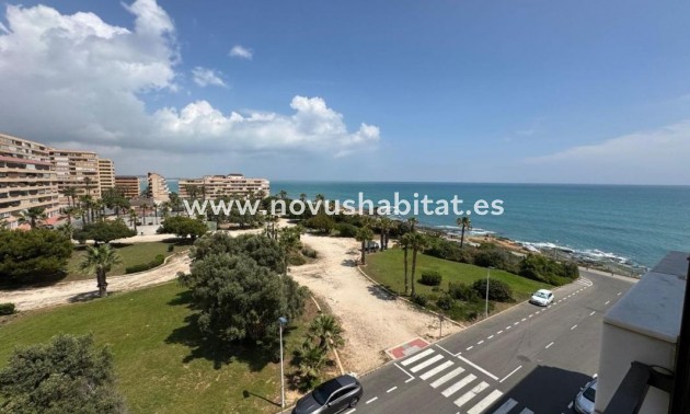 Apartament - Neue Gebäude - Torrevieja - Torrevieja