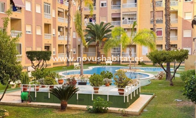Apartament - Neue Gebäude - Torrevieja - Torrevieja