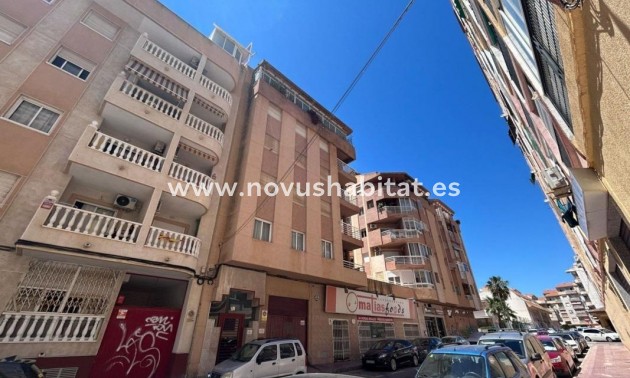 Apartament - Neue Gebäude - Torrevieja - Torrevieja