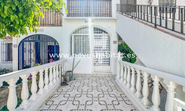 Apartament - Neue Gebäude - Torrevieja - Torrevieja