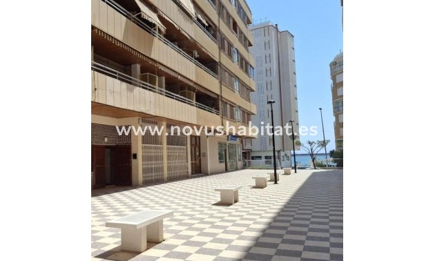 Apartament - Neue Gebäude - Torrevieja - Torrevieja
