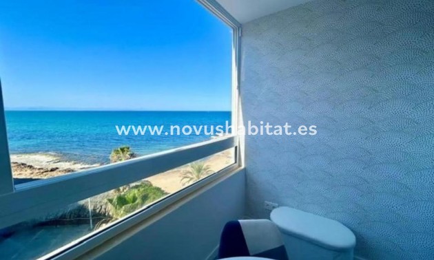 Apartament - Neue Gebäude - Torrevieja - Torrevieja