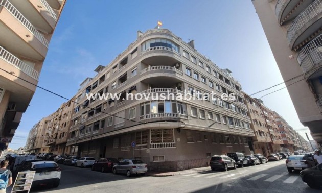 Apartament - Neue Gebäude - Torrevieja - Torrevieja