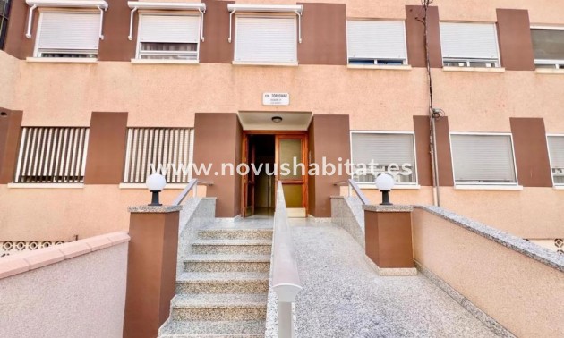 Apartament - Neue Gebäude - Torrevieja - Torrevieja