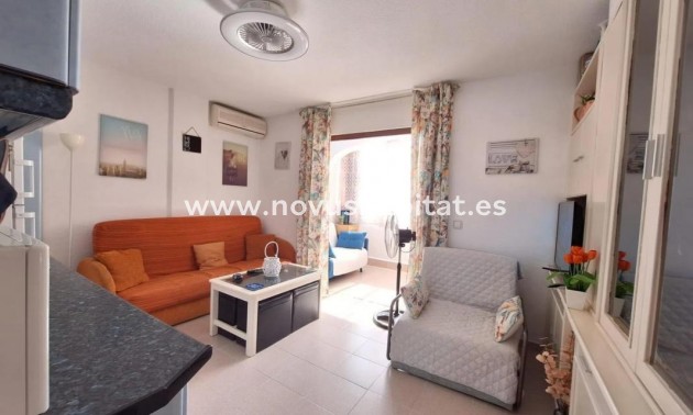 Apartament - Neue Gebäude - Torrevieja - Torrevieja