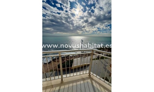 Apartament - Neue Gebäude - Torrevieja - Torrevieja