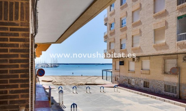 Apartament - Neue Gebäude - Torrevieja - Torrevieja