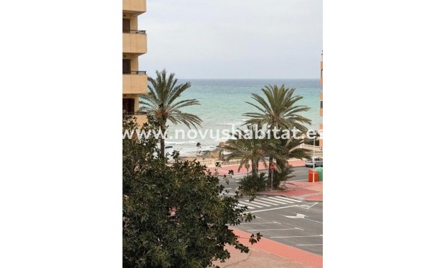 Apartament - Neue Gebäude - Torrevieja - Torrevieja