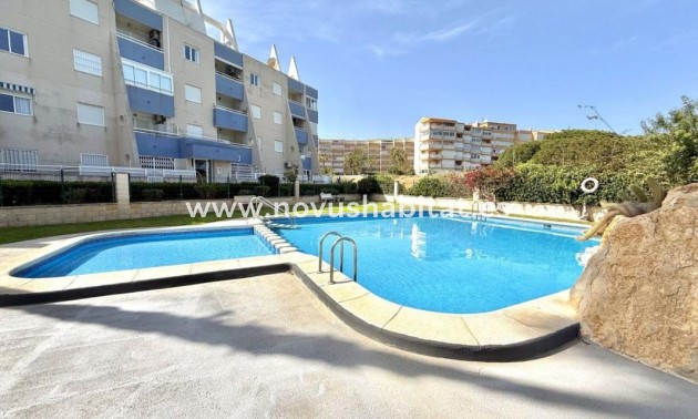 Apartament - Neue Gebäude - Torrevieja - Torrevieja