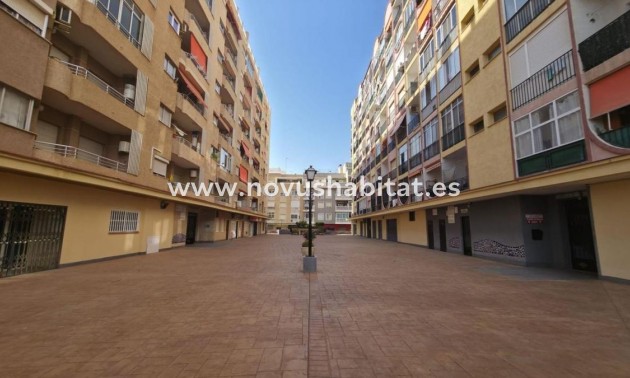 Apartament - Neue Gebäude - Torrevieja - Torrevieja