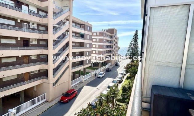Apartament - Neue Gebäude - Torrevieja - Torrevieja