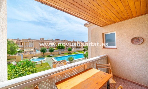 Apartament - Neue Gebäude - Torrevieja - Torrevieja