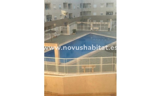 Apartament - Neue Gebäude - Torrevieja - Torrevieja