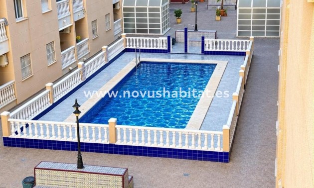 Apartament - Neue Gebäude - Torrevieja - Torrevieja