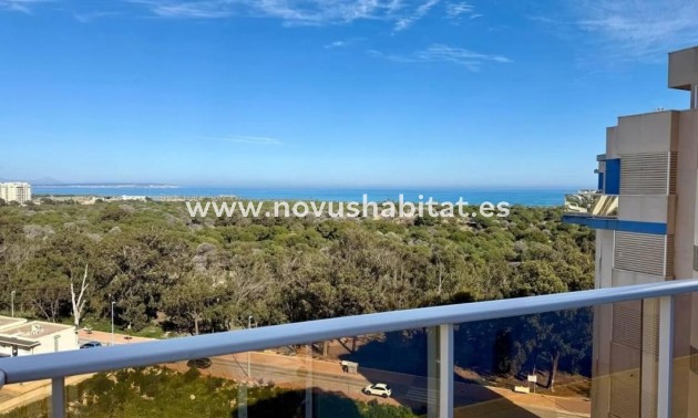 Apartament - New Build - Guardamar del Segura - Guardamar del Segura