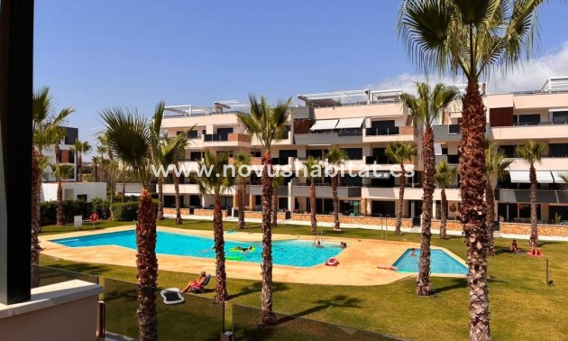 Apartament - New Build - Orihuela - Orihuela
