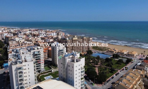 Apartament - New Build - Torrevieja - Torrevieja