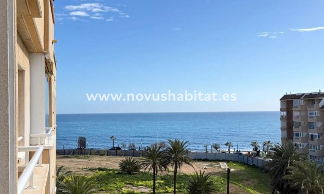 Apartament - New Build - Torrevieja - Torrevieja