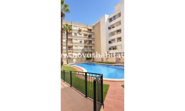 Apartament - New Build - Torrevieja - Torrevieja