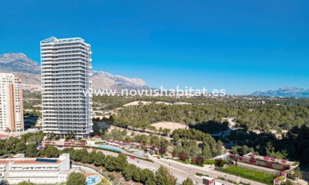 Apartament - Nieuwbouw - Benidorm - Benidorm