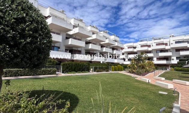 Apartament - Nieuwbouw - Orihuela - Orihuela