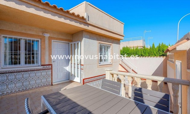 Apartament - Nieuwbouw - Torrevieja - Torrevieja