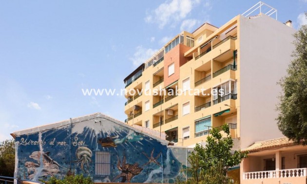Apartament - Nieuwbouw - Torrevieja - Torrevieja