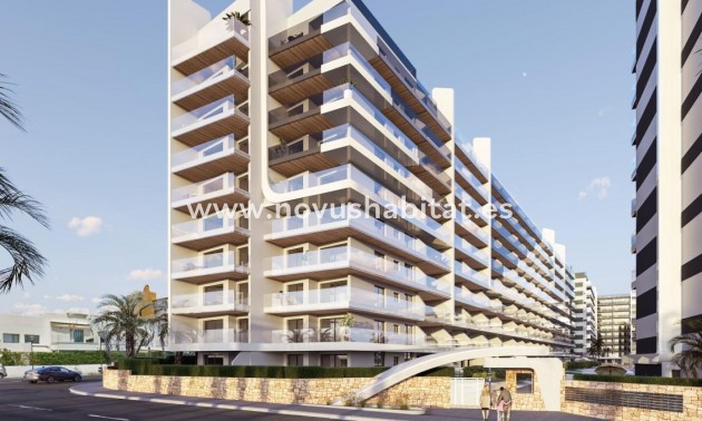 Apartament - Nieuwbouw - Torrevieja - Torrevieja