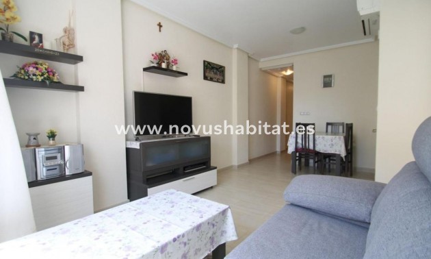 Apartament - Nieuwbouw - Torrevieja - Torrevieja