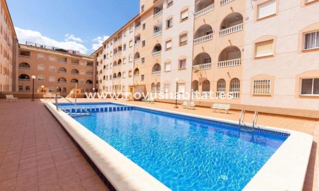 Apartament - Nieuwbouw - Torrevieja - Torrevieja