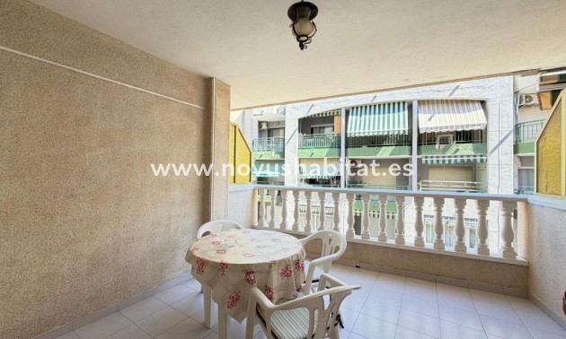 Apartament - Nieuwbouw - Torrevieja - Torrevieja