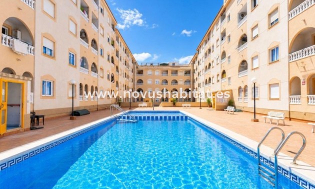 Apartament - Nieuwbouw - Torrevieja - Torrevieja