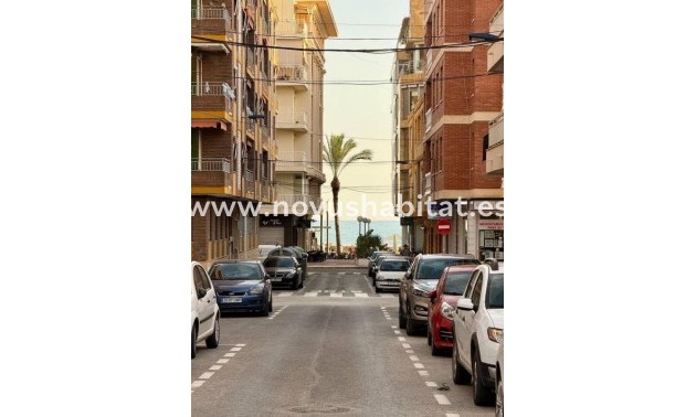 Apartament - Nieuwbouw - Torrevieja - Torrevieja
