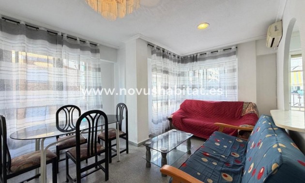 Apartament - Nieuwbouw - Torrevieja - Torrevieja