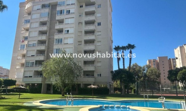 Apartament - Nouvelle construction - Alicante - Alicante