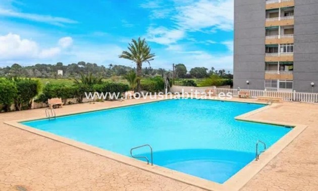 Apartament - Nouvelle construction - Torrevieja - Torrevieja