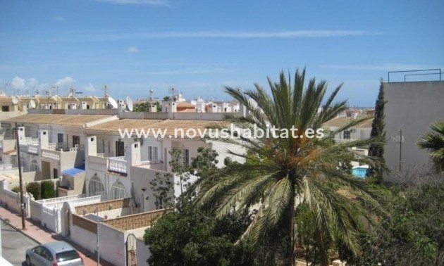 Apartament - Nouvelle construction - Torrevieja - Torrevieja