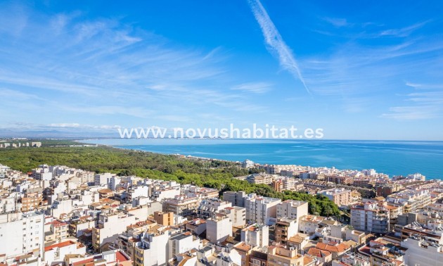 Apartament - Nowa inwestycja - Guardamar del Segura - Centro