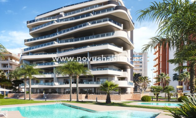 Apartament - Nowa inwestycja - Guardamar del Segura - DL-1109